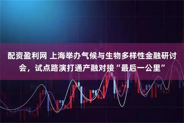 配资盈利网 上海举办气候与生物多样性金融研讨会，试点路演打通产融对接“最后一公里”